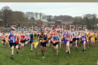 Junior boys 2019 New Balance English Schools Cross Country Champs, Temple Newsam, Leeds. Photo:  David T. Hewitson/Sports for All Pics